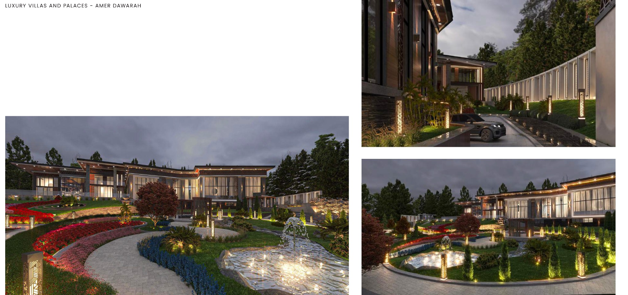 Luxury villa and palace project